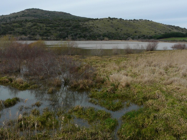 Laghi .....della TOSCANA